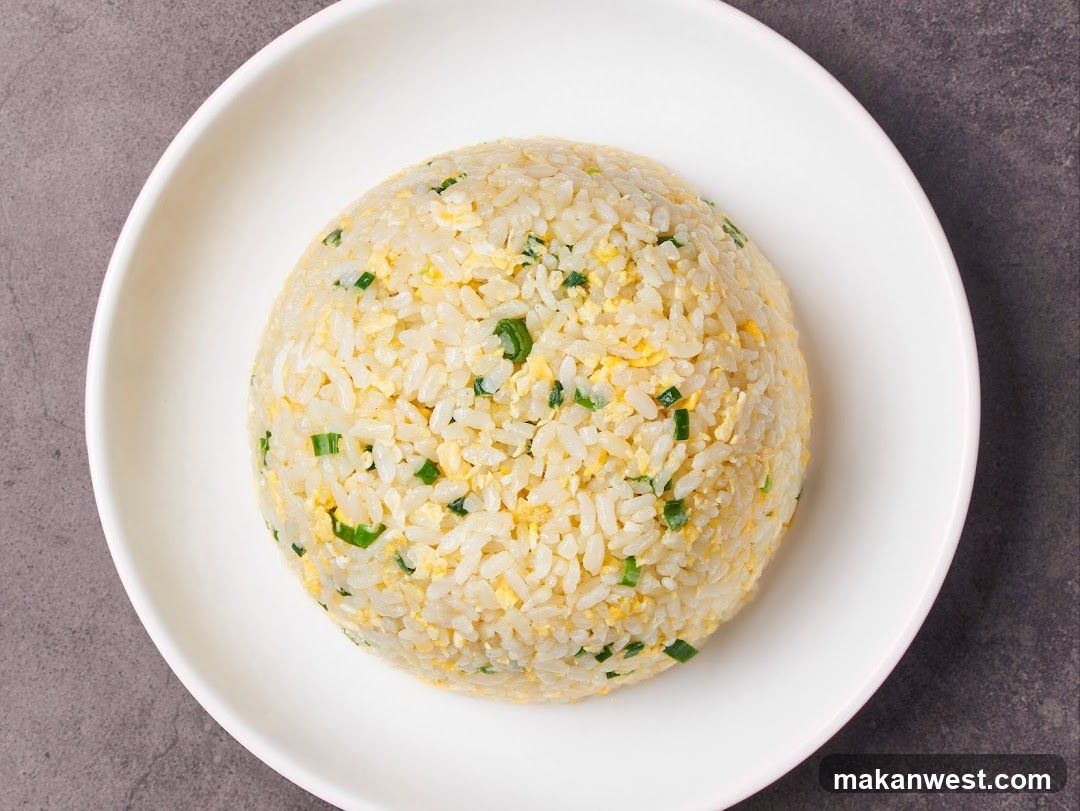 Fried Rice Ball