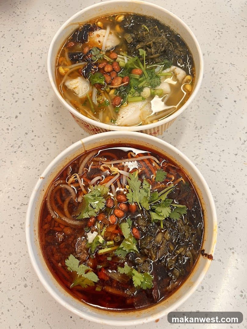 Two bowls of noodle soup with toppings