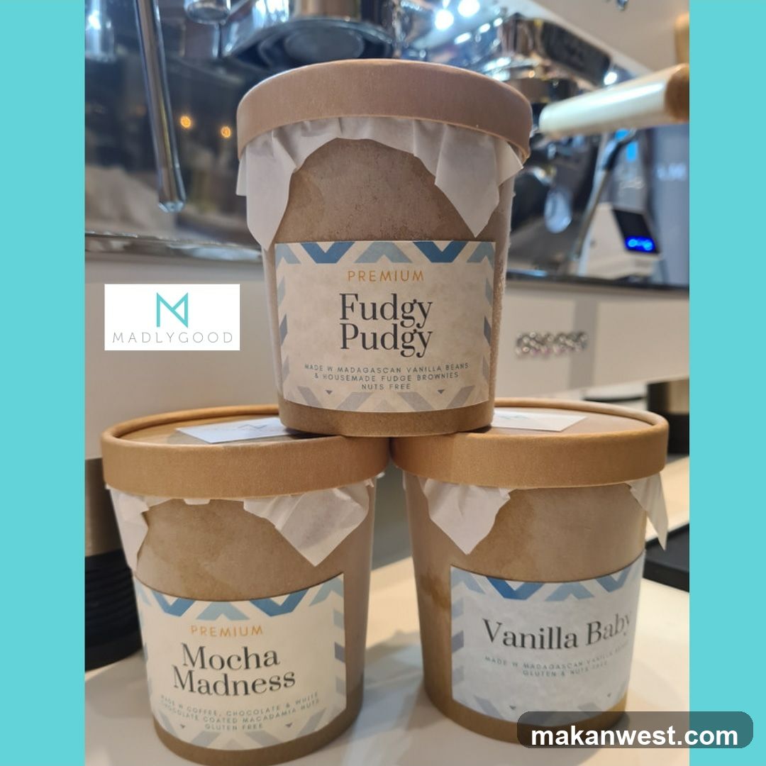 Premium Fudgy Pudgy Ice Cream Tubs