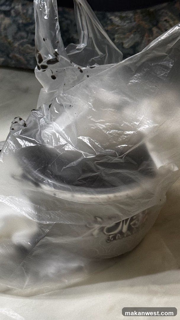 Plastic Bag with Food Container