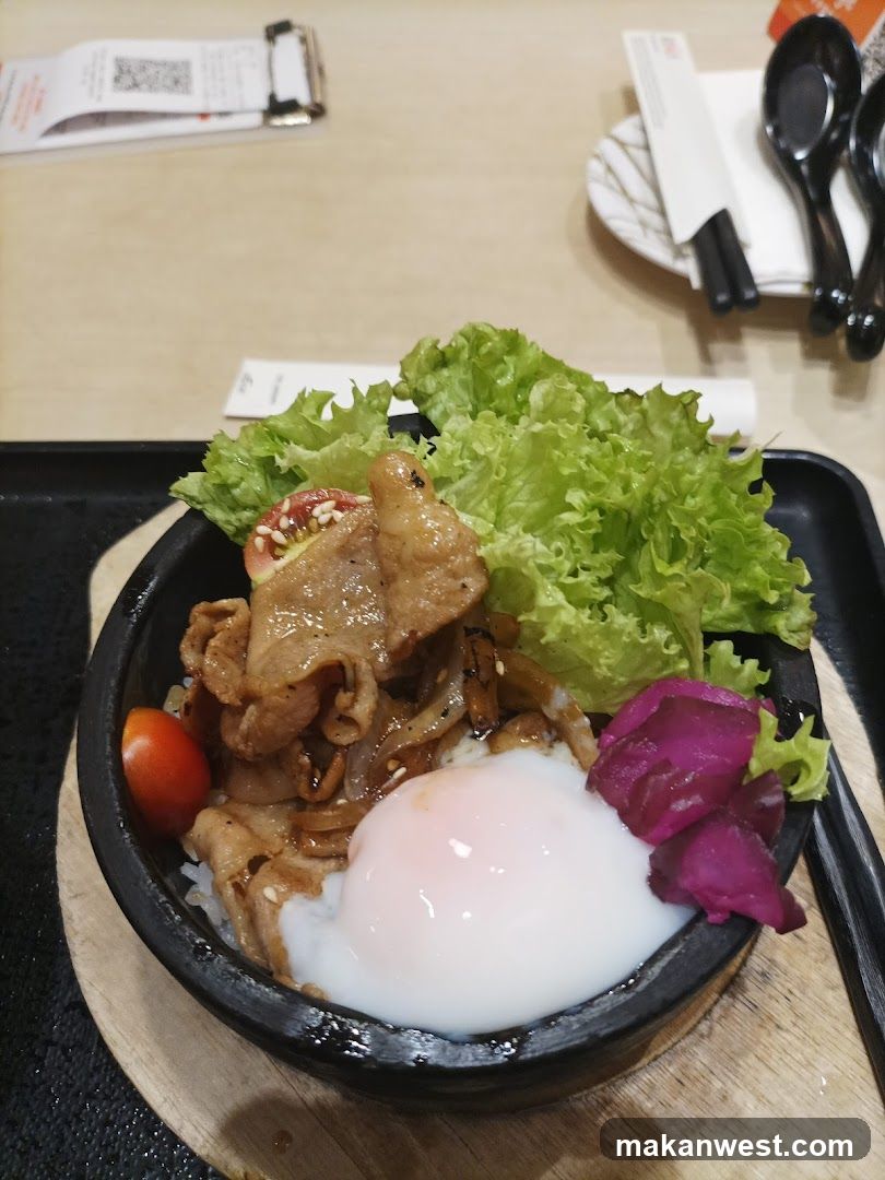 Bowl of Rice with Meat and Egg