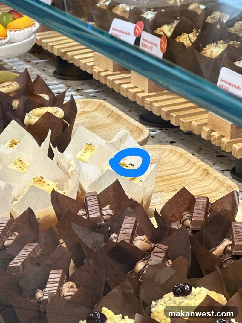 Bakery Display Case