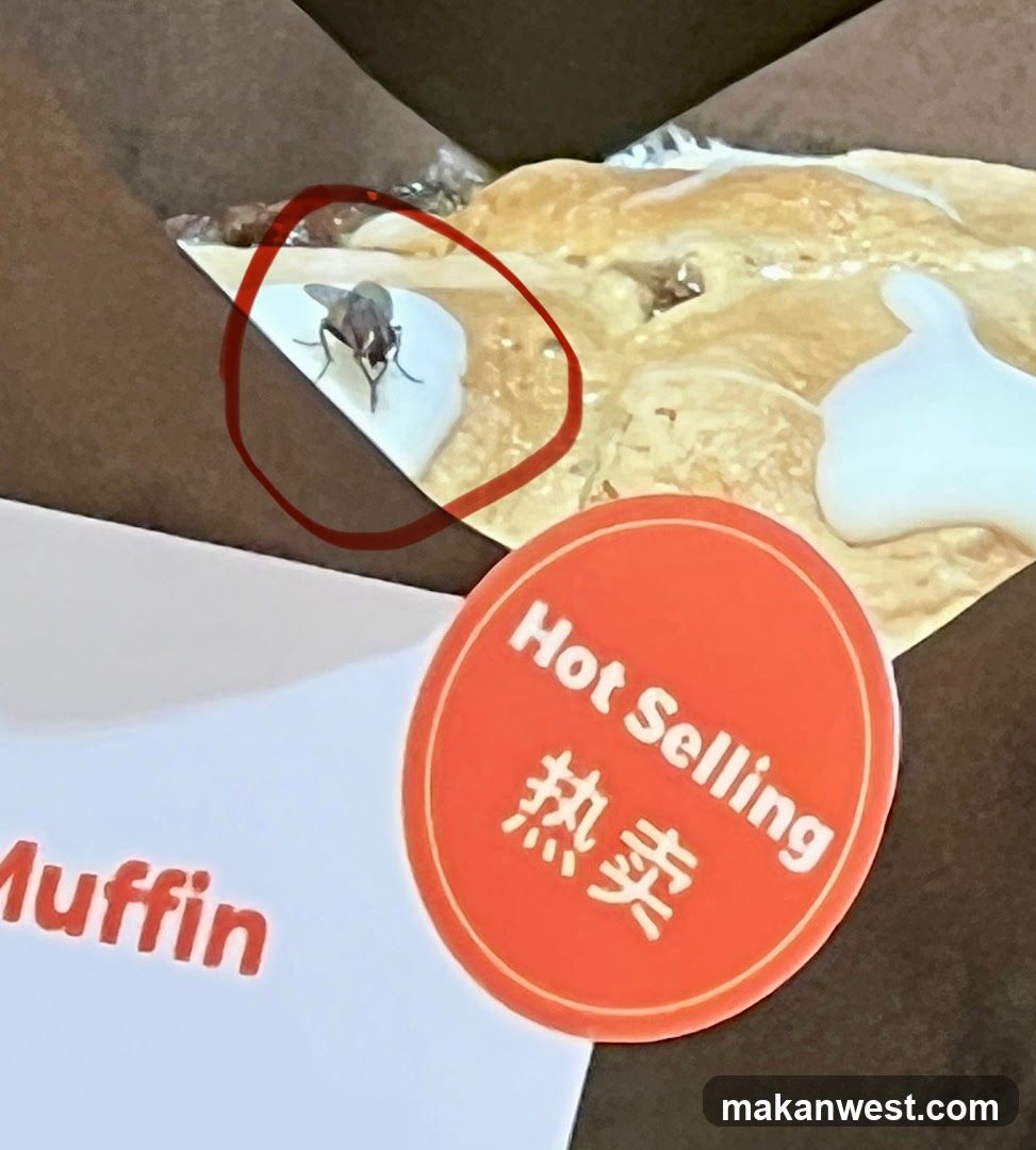 Muffin with insect on top