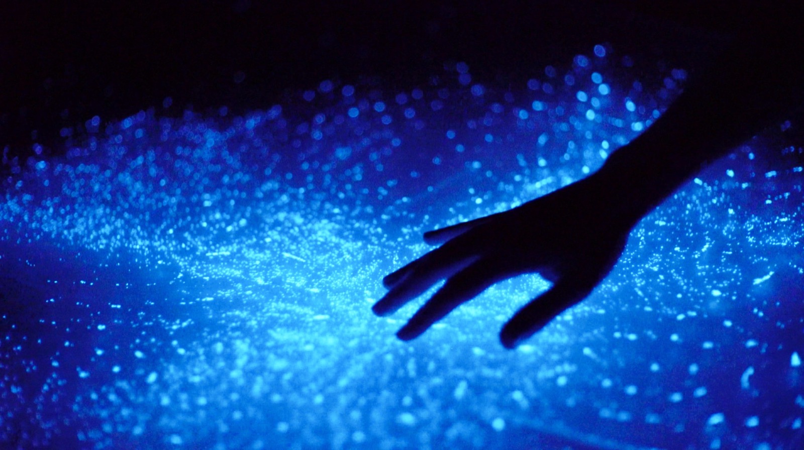 Hand over glowing dinoflagellates at a Glowing Oceans sensory table, Science Centre Singapore Jurong East