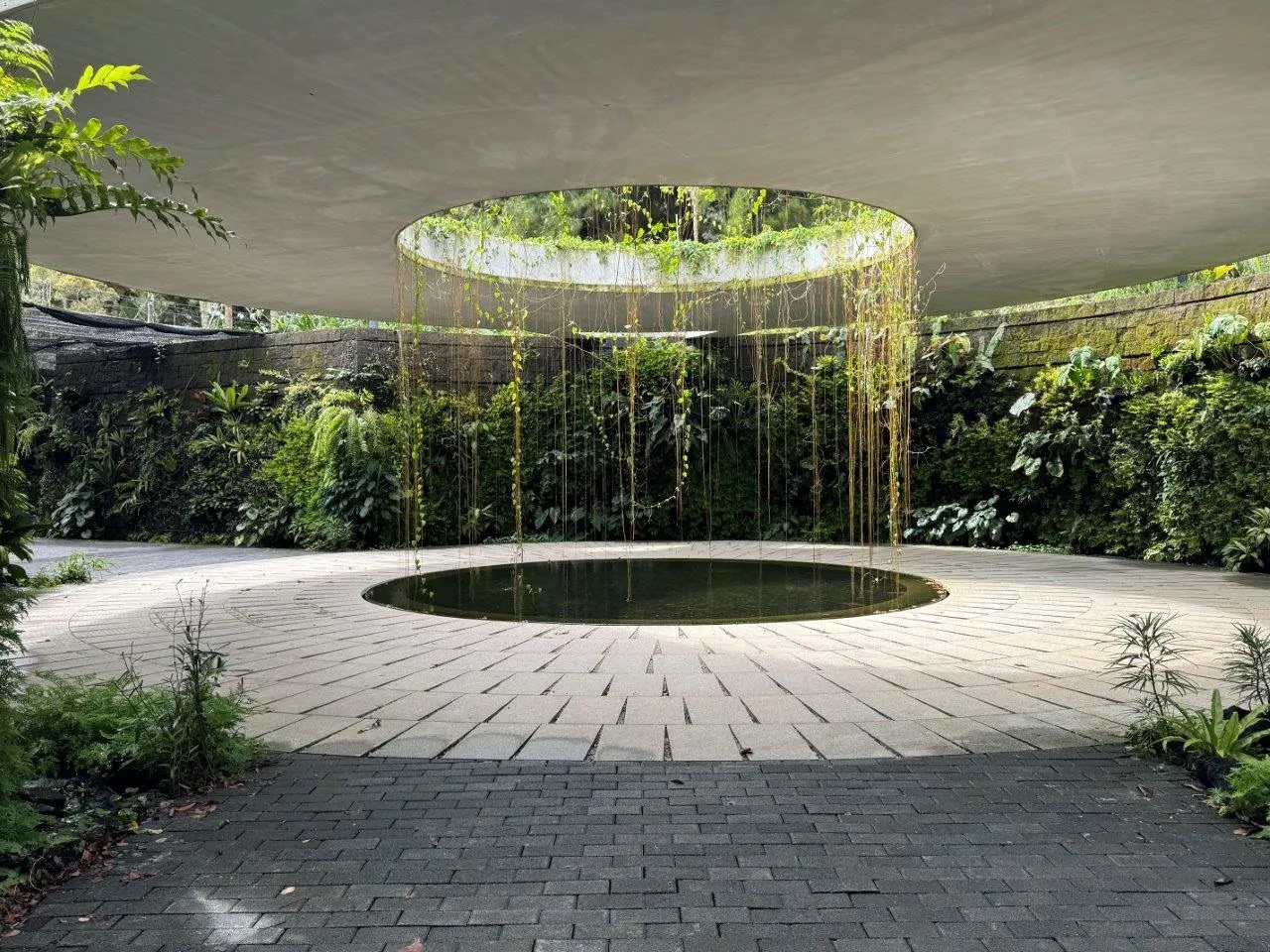 Sunken Garden at Japanese Garden, Jurong Lake Gardens, a stop on the 14 November guided tour