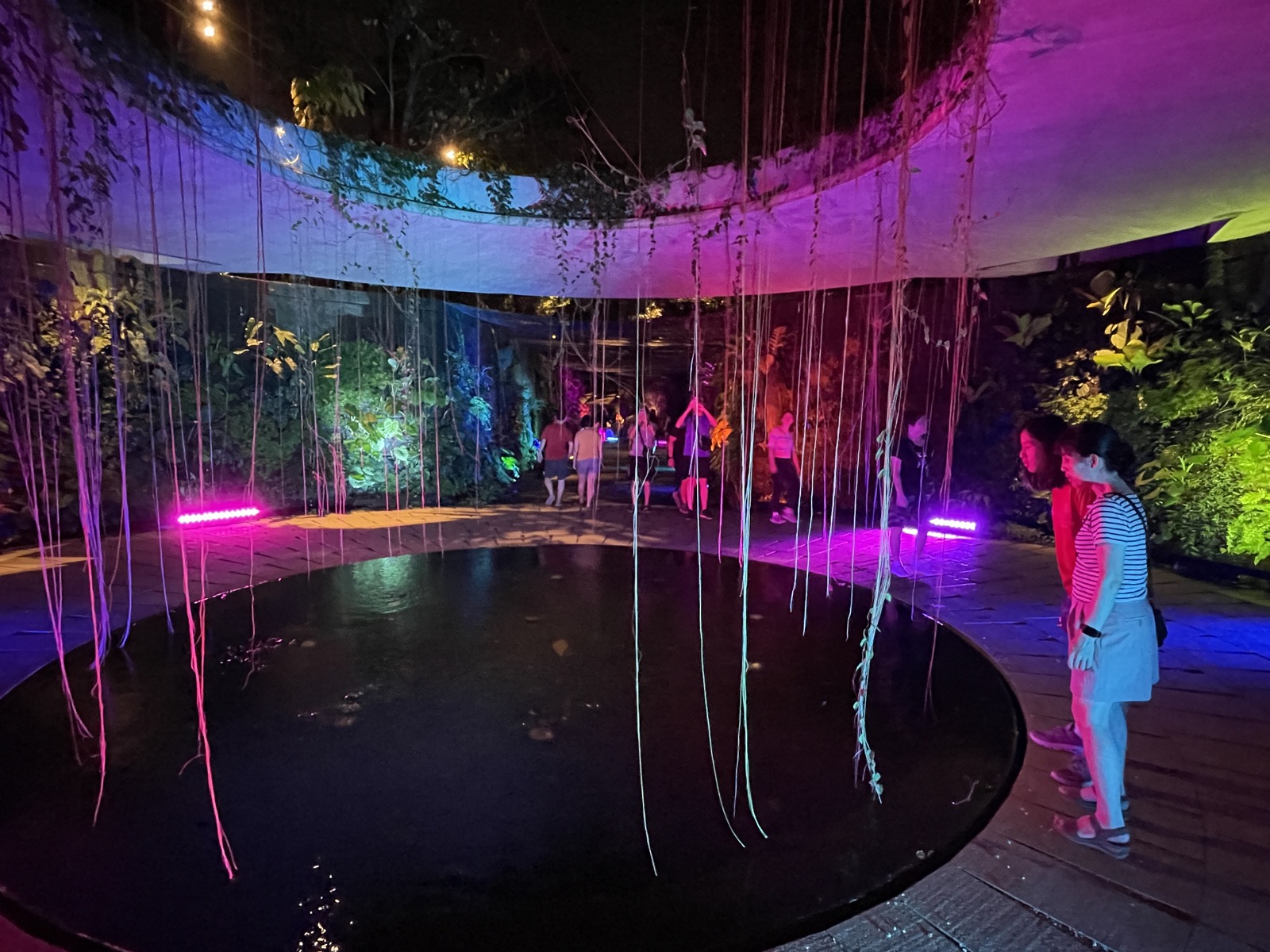 Sunken Garden light display at Japanese Garden during Lights by the Lake Jurong Lake Gardens