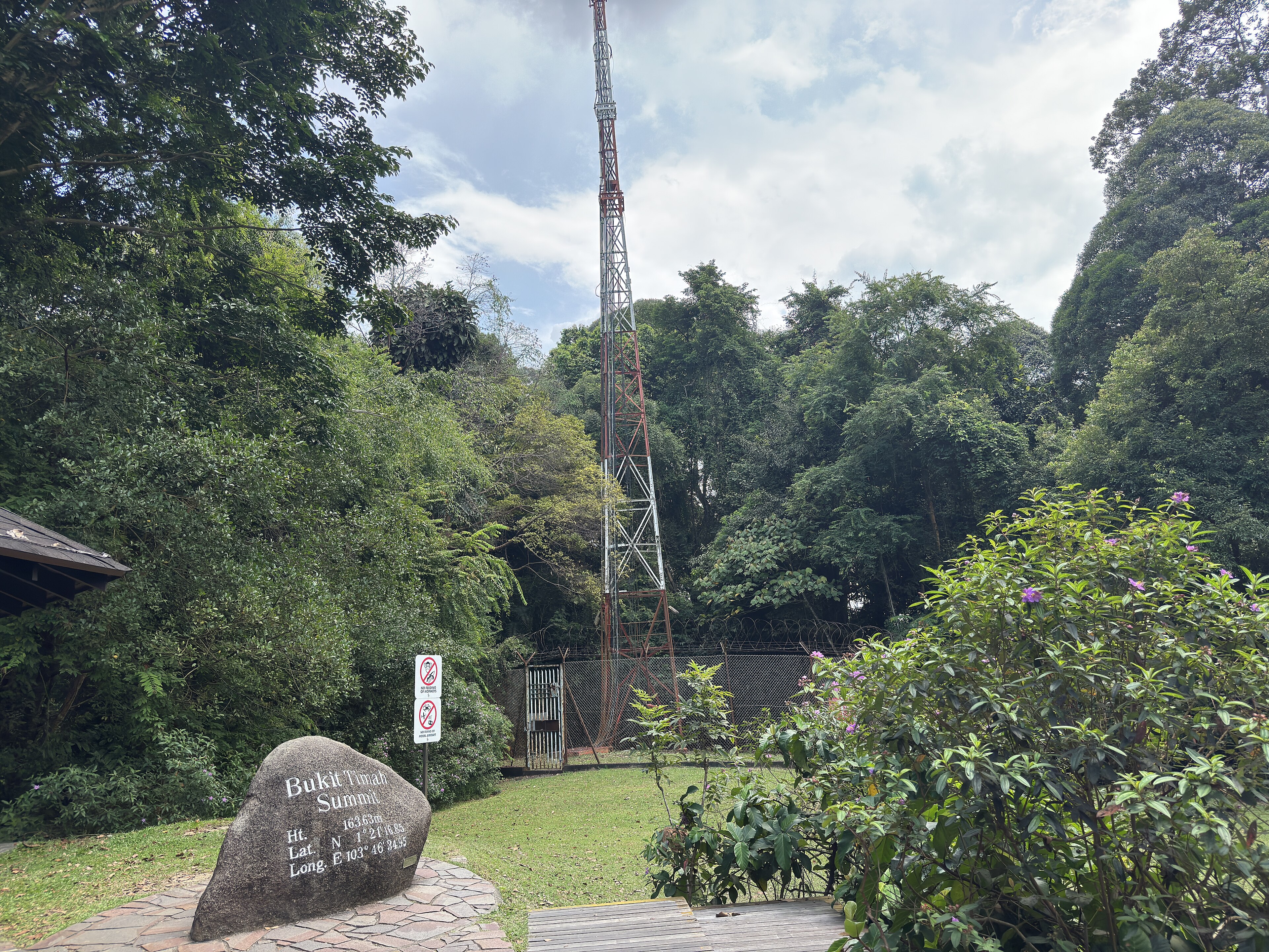 Bukit Timah Nature Reserve